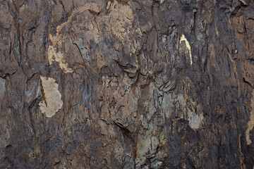 The dark brown closeup texture of the stone
