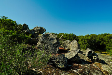 Tomba dei Giganti presso Alà dei Sardi. Provincia di Nuoro, Sardegna. Italy