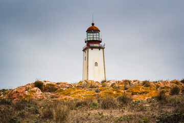 Fototapeta na wymiar Lighthouse in Berlenga Grande island, Portugal