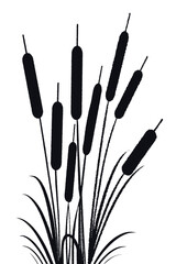 Reed, ornament for stencil. Black outline on a transparent background with isolated elements. Vector drawing.