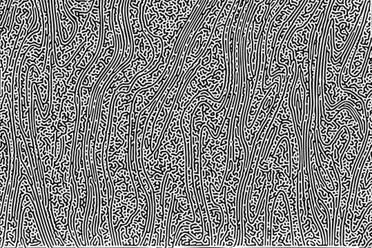 Turing ornament halftone puzzle pattern. turing pattern reaction diffusion