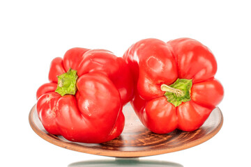 Two red sweet peppers on a clay plate, macro, isolated on white background.