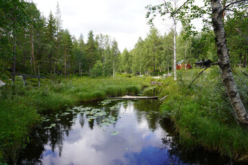 Fototapeta na wymiar Der Botanische Garten in Jokkmokk in Schweden