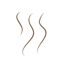 Brown Hot Steam Icon