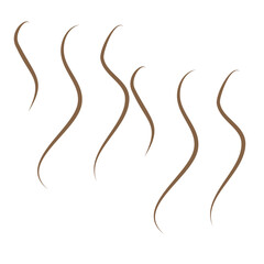 Brown Hot Steam Icon