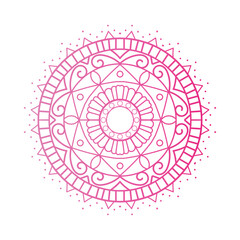 Colored Mandala Art Vector illustration