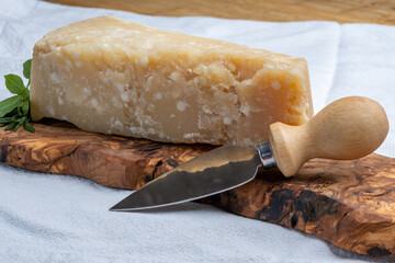 Cheese collection, hard yellow Italian cheese parmesan or parmigiano reggiano