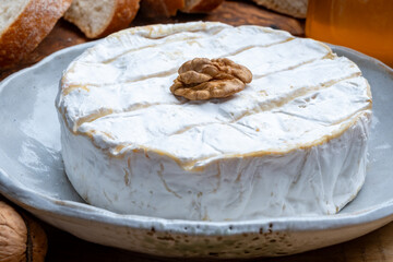 French soft Camembert cheese, original Camembert de Normandie