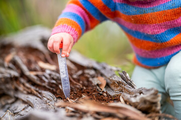children learning about nature outdoors
