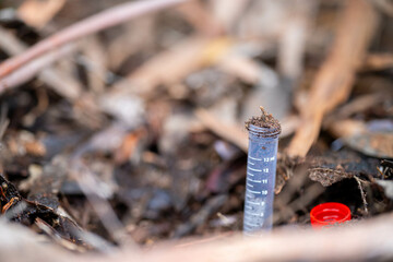 test tube in a forest field in australia