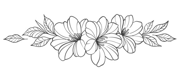 Sketch Floral Botany Collection. flower drawings. Black and white with line art on white backgrounds. Hand Drawn Botanical Illustrations.Vector.