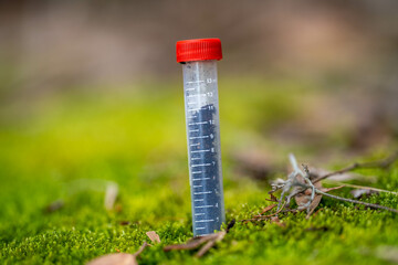 test tube in a forest field in australia