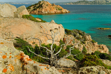 Panorama dell'Isola di Spargi. Arcipelago della Maddalena. Sardegna, Italy
