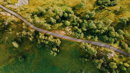 Aerial view of narrow road among green summer trees and fields in the Alps, high angle view. Natural background.