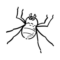 手描きの蜘蛛　モノクロ