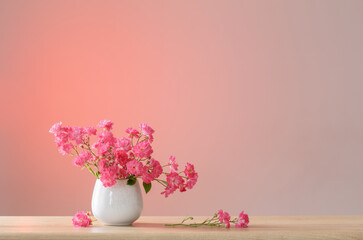 pink roses in ceramic vase on light red background