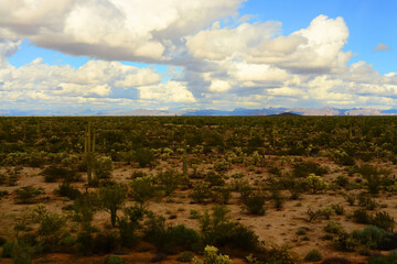 Sonora Desert Arizona