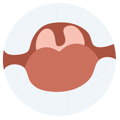 Dental care and therapy Oral cavity anatomy
