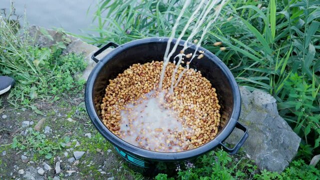 mais tigernuts fishfeed feeding