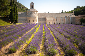 Abbaye Notre-Dame de Sénanque. 12th-century Cistercian monastery with summer lavender fields - obrazy, fototapety, plakaty