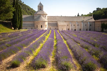 Foto auf Glas Abbaye Notre-Dame de Sénanque. 12th-century Cistercian monastery with summer lavender fields © Gulnara