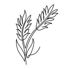 Vector continuous one line Paddy illustration