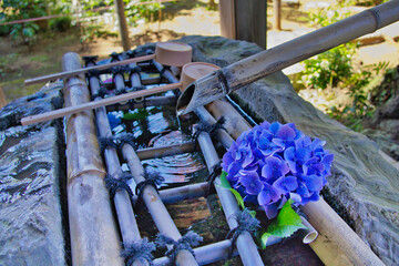 あじさい寺の花手水