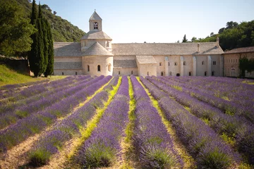 Deurstickers Abbaye Notre-Dame de Sénanque. 12th-century Cistercian monastery with summer lavender fields © Gulnara