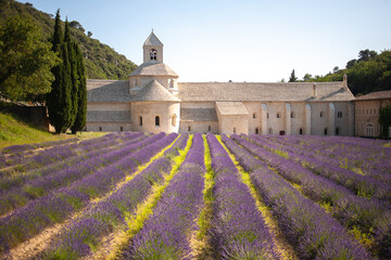 Abbaye Notre-Dame de Sénanque. 12th-century Cistercian monastery with summer lavender fields