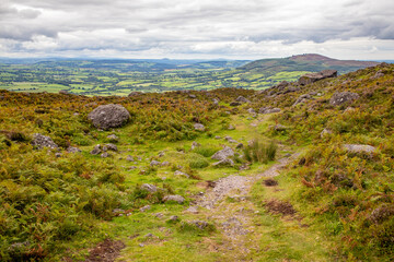 Rocks and vegetation on Trail to Coumshingaun Lough