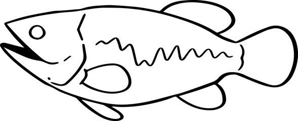 cartoon fish drawing illustration.