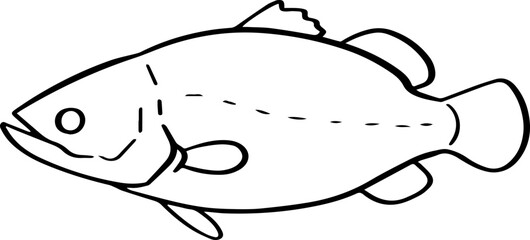 cartoon fish drawing illustration.