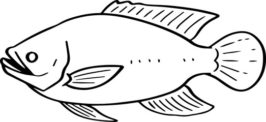 cartoon fish drawing illustration.
