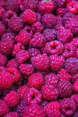 Lots of raspberries. Raspberry texture. Raspberry harvest. Vacation in summer.