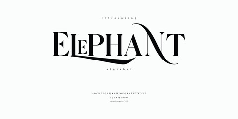 Modern Elegant Serif Alphabet Font Typeface Typography