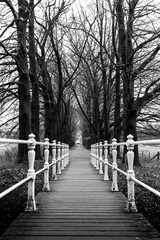 Old pedestrian bridge with cast iron railing on an estate and a tree-lined avenue in black and white.