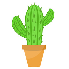 cactus flower in pot art drawn