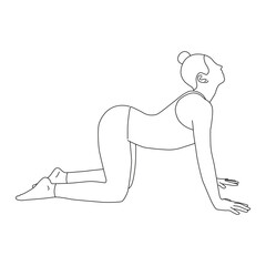 Line art of woman doing yoga in cow pose vector.