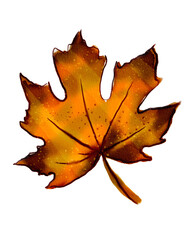 Fototapeta premium Autumn season