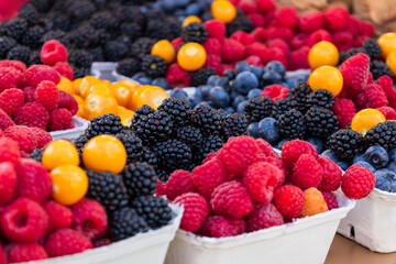 Fresh fruits raspberries, strawberries and blueberries are in paper bowls on the counter. The fruit is intended for sale on the market.