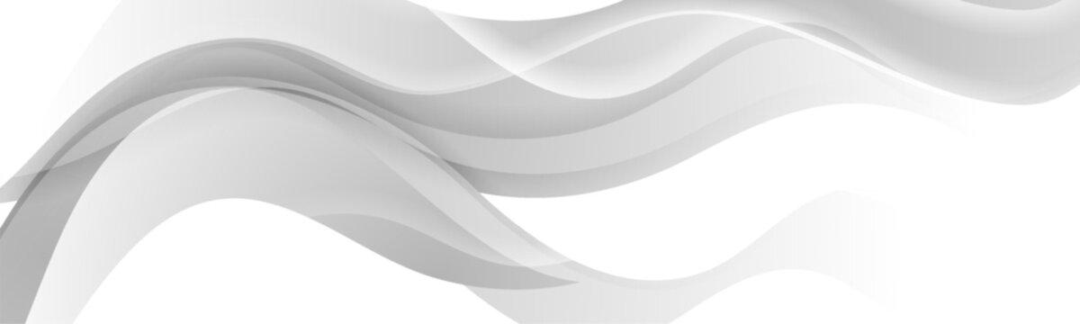 Grey white glossy waves abstract elegant background. Vector banner design