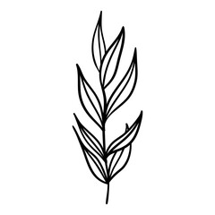 Outline Plant