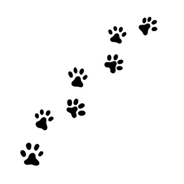 Dog Paw Print Illustration
