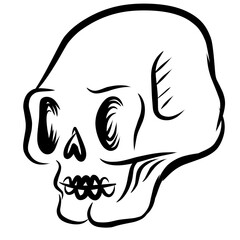 Skull Hand Drawn Illutrations 