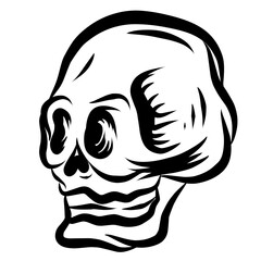 Skull Hand Drawn Illutrations 