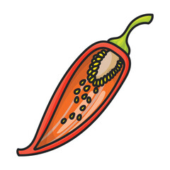 Spicy pepper vector icon.Color vector icon isolated on white background spicy pepper .