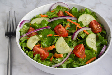  garden salad with   cuumber, and tomatoes,
