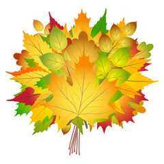 bright autumn leaves bouquet art drawn design