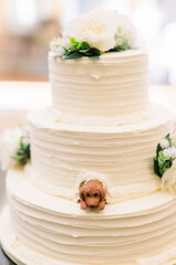 wedding cake with dog decoration