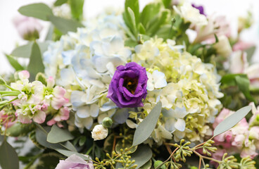 flowers symbolize hope and celebration in nature's colorful tapestry